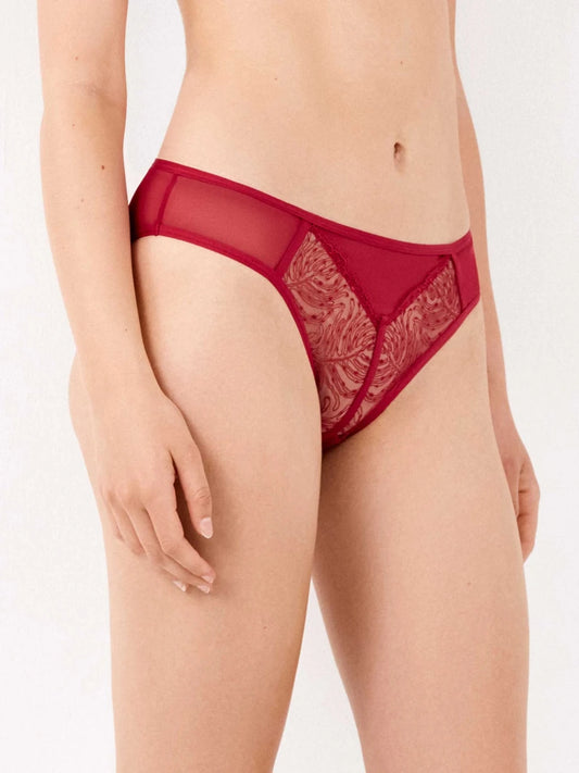 Braguita encaje bordado deflecado - Athenea y Laia Market